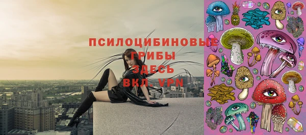 Альфа ПВП Верхнеуральск
